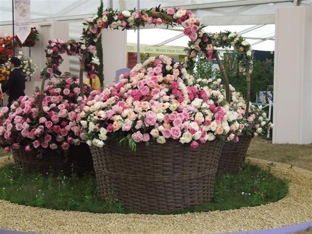 2008_hamptonflower 033.jpg